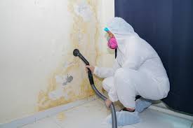 Best Commercial Mold Inspection  in Naples Manor, FL